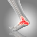 ORTHODICS