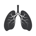 human-lungs-logo-icon