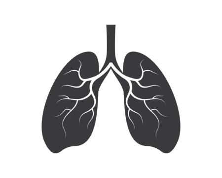 human-lungs-logo-icon